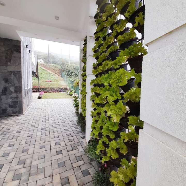 Pensive Villa Nuwara Eliya Ngoại thất bức ảnh